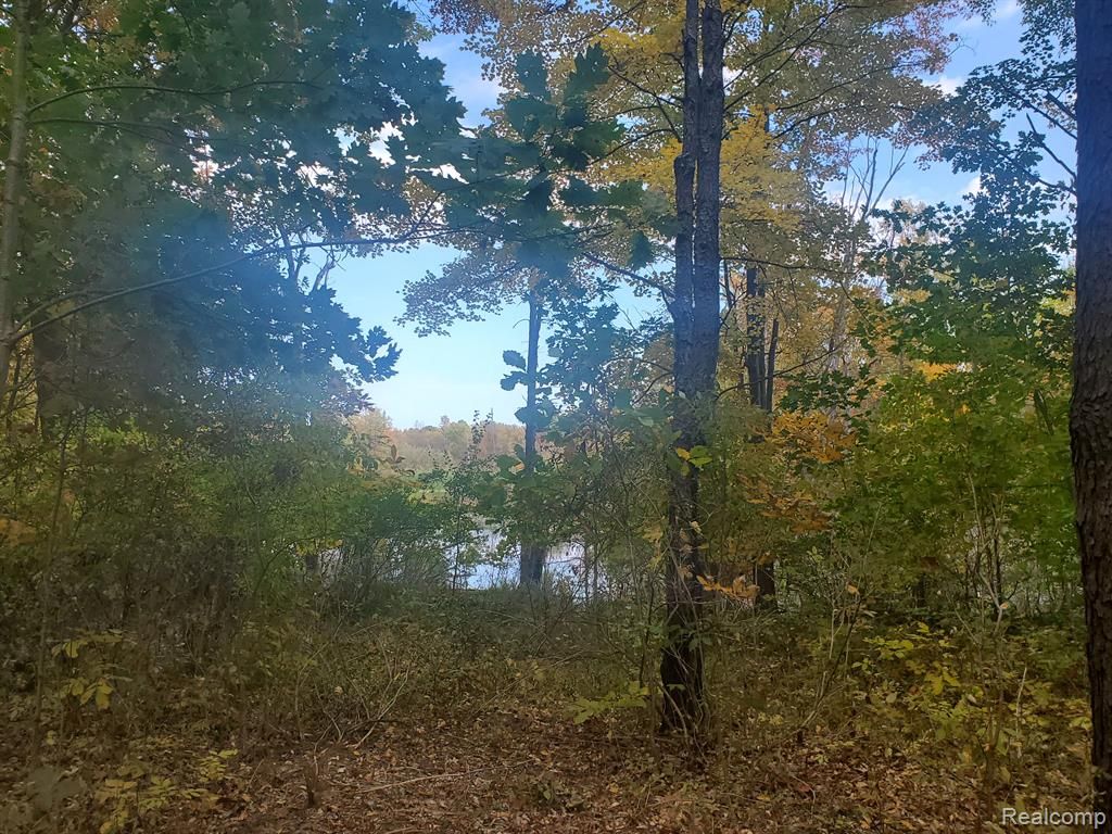 6002 7 Mile Road