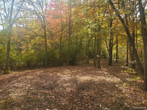6002 7 Mile Road Salem Township Washtenaw MI 48167