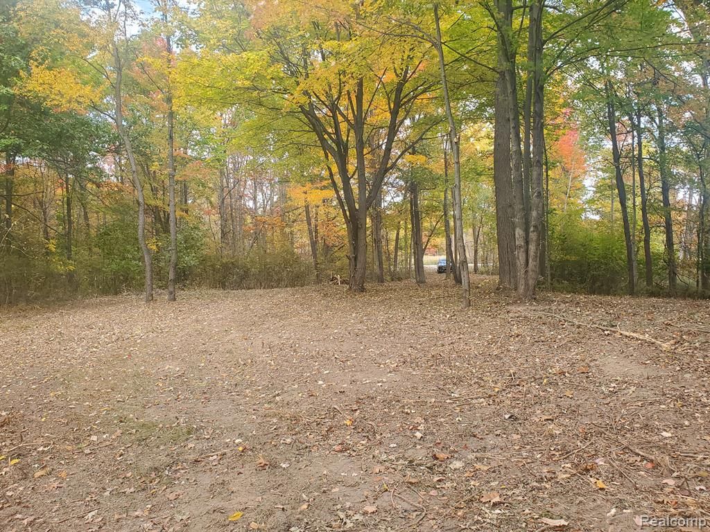 6002 7 Mile Road