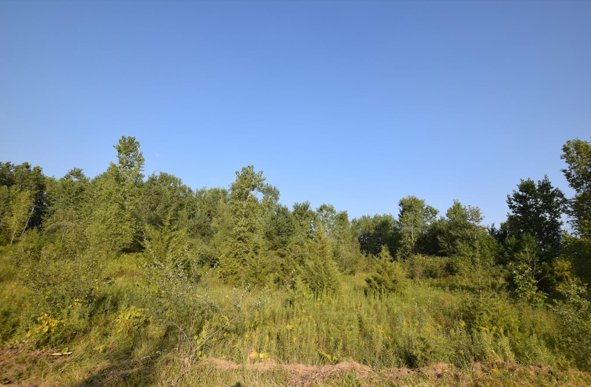 View Flushing Twp, MI 48433 land