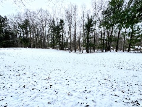 A home in Big Rapids Twp