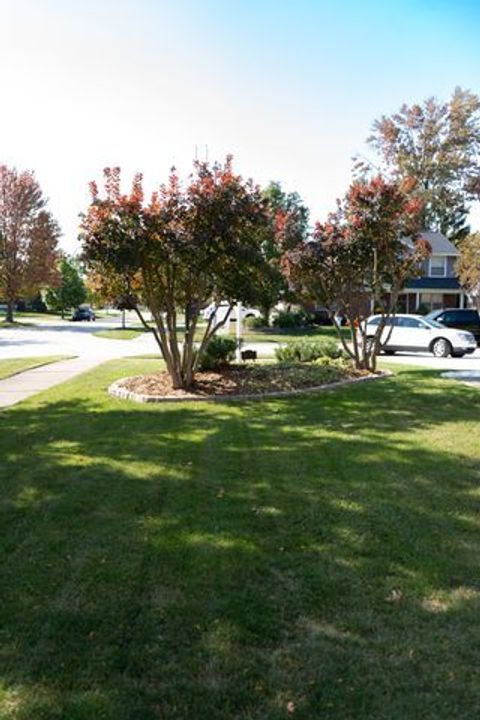 A home in Woodhaven