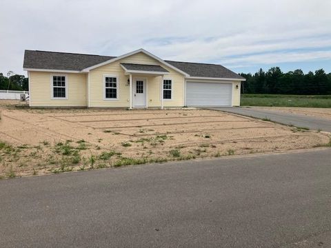 A home in Blair Twp