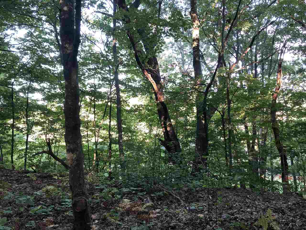 LOT 122 Crystal Downs Drive