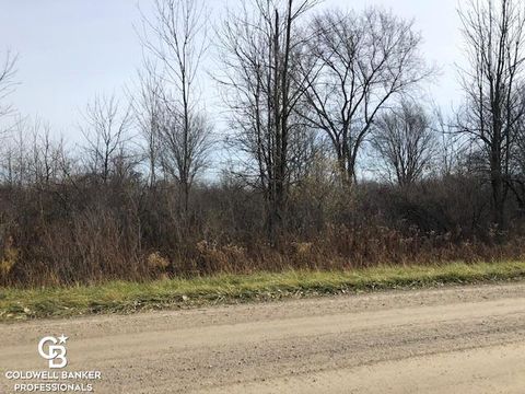 00 Cowhy Rd. Parcel "B" Road Riley Township MI 48041