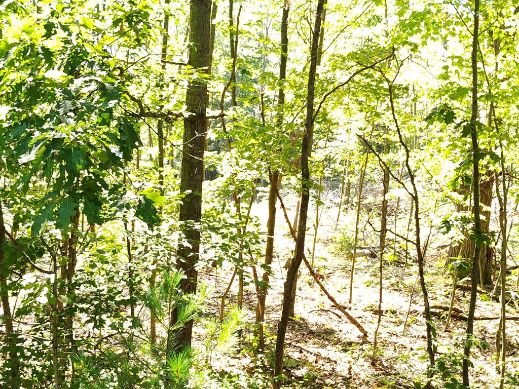 Lot 12 N Circle E