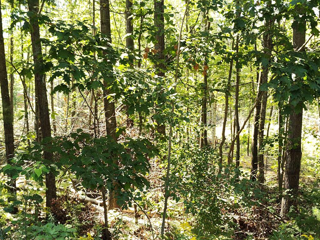 Lot 12 N Circle E