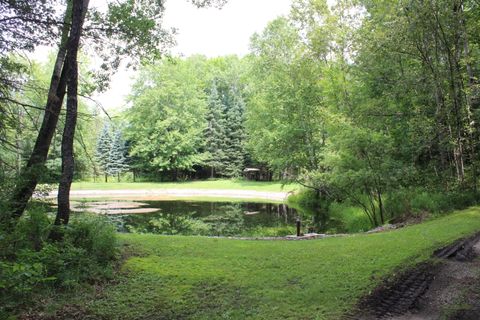 A home in Nester Twp