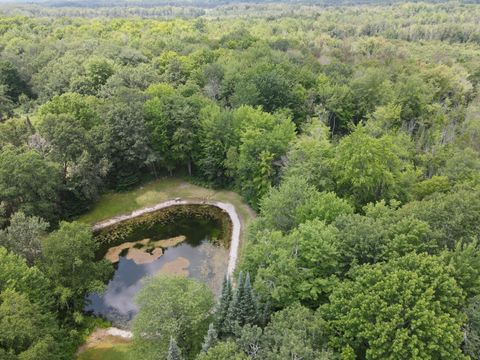 A home in Nester Twp