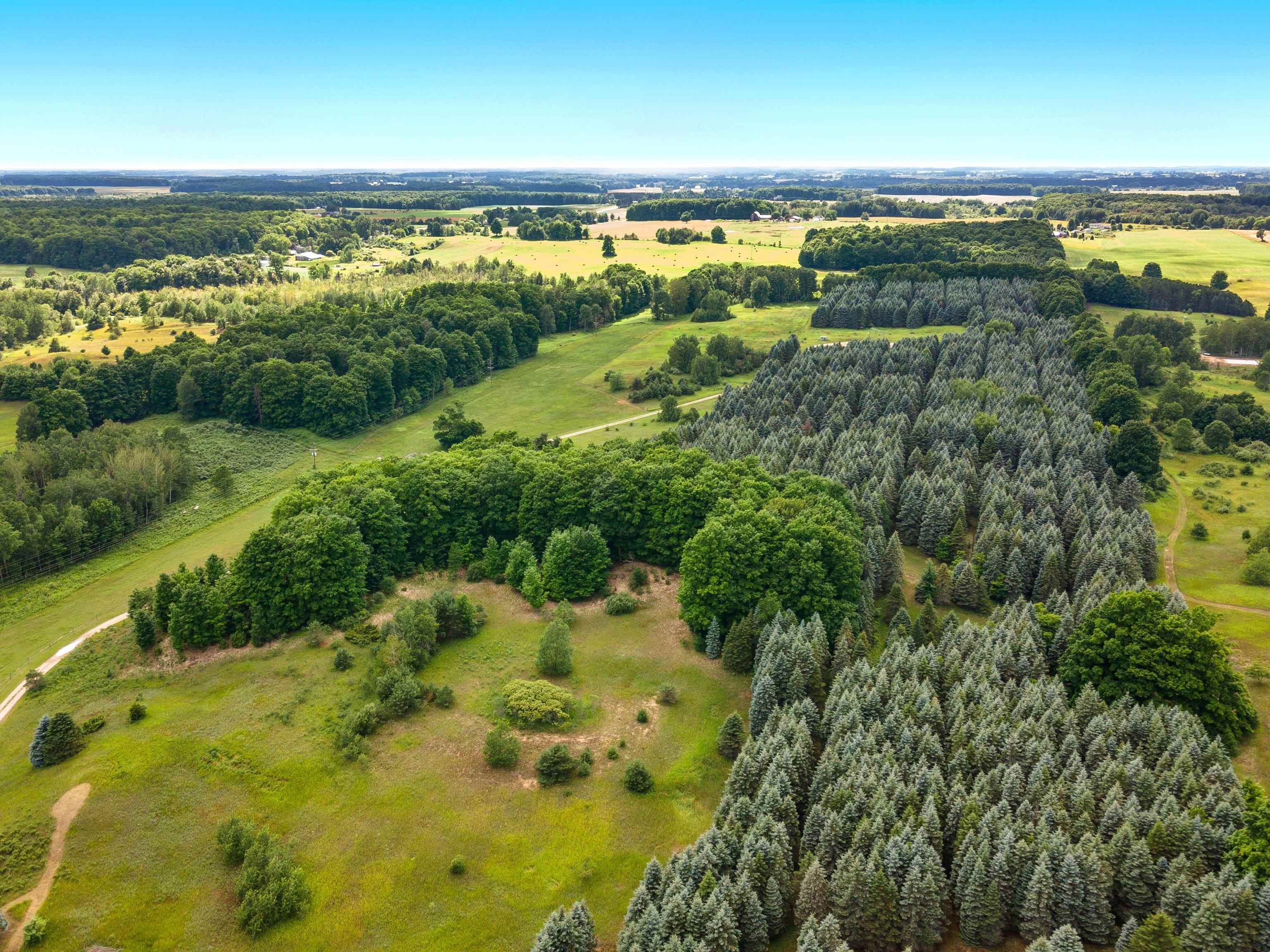 Photo 4 of 5 of 6586 Bancroft Road land