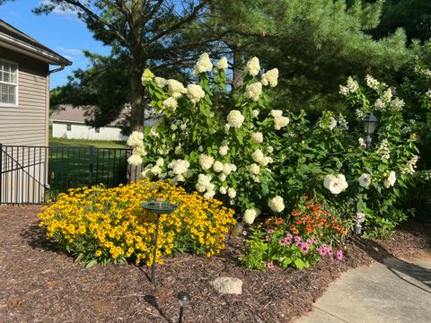 A home in Courtland Twp