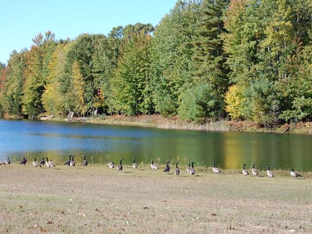 6964 Clubhouse Drive E