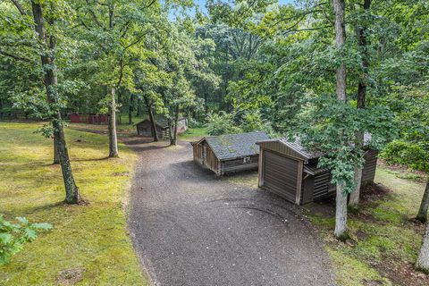 A home in Grass Lake Twp