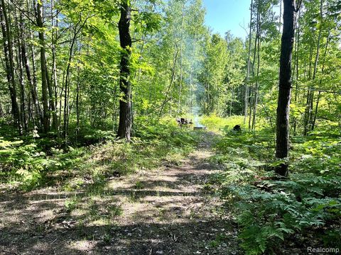 Featured picture for the property 20230060111