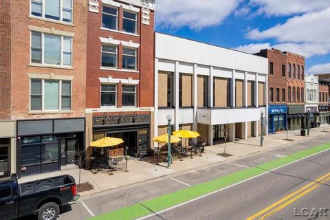 113 E Maumee Street Adrian City MI 49221