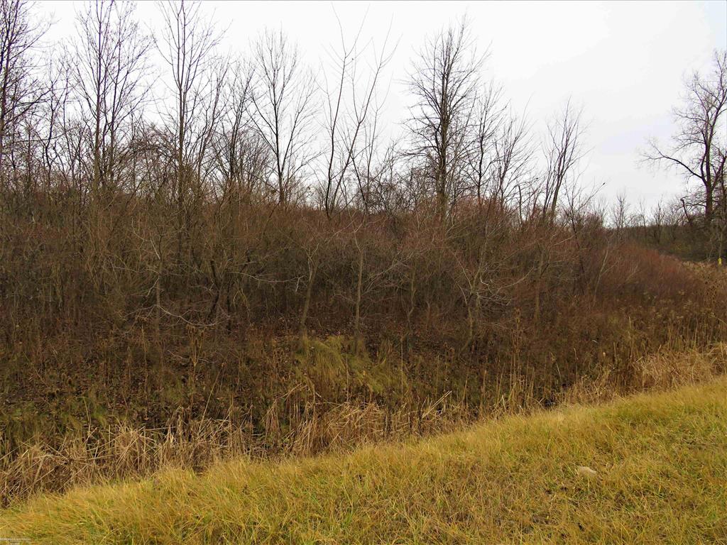 Lenox Township, Michigan 48048, United States, ,Land,Active,73931