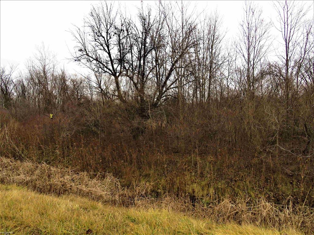 Lenox Township, Michigan 48048, United States, ,Land,Active,73931