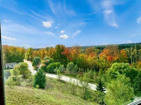 A home in Paradise Twp