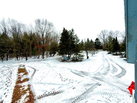 A home in Hamlin Twp