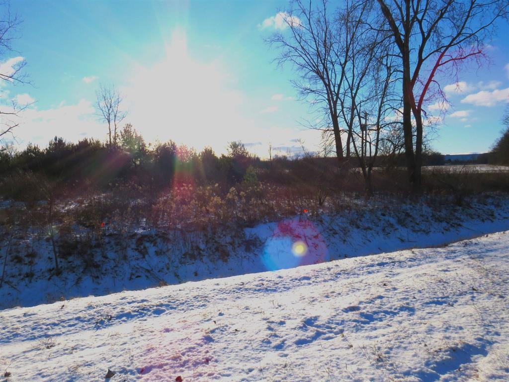 Lenox Township, Michigan 48050, United States, ,Land,Active,21638