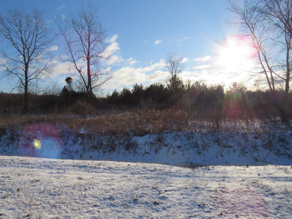 Lenox Township, Michigan 48050, United States, ,Land,Active,21638