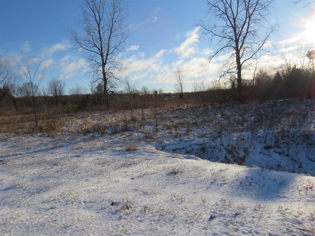 Lenox Township, Michigan 48050, United States, ,Land,Active,21638