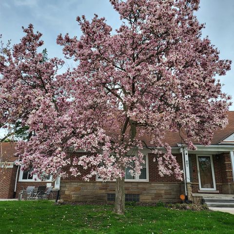 A home in Dearborn