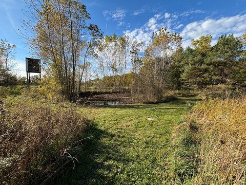 A home in Forest Twp