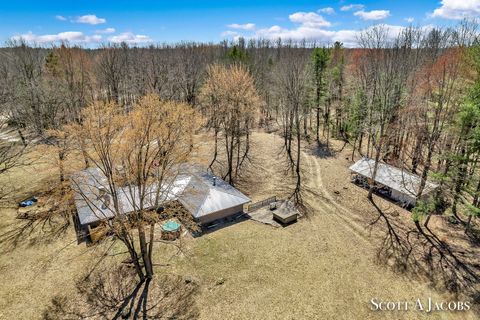 1125 Chaput Drive Orient Township MI 49679