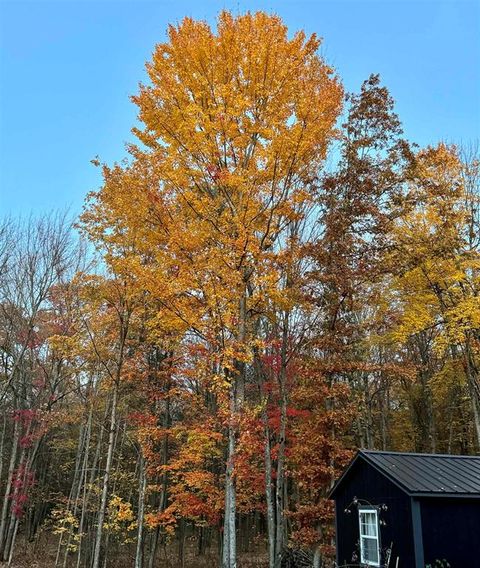 A home in Ellsworth Twp