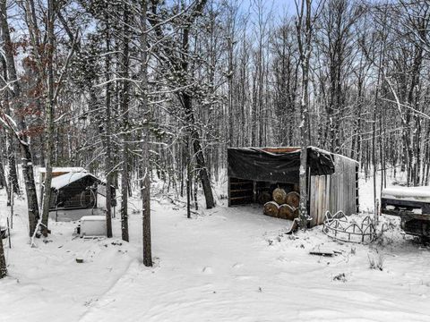 A home in Ellsworth Twp