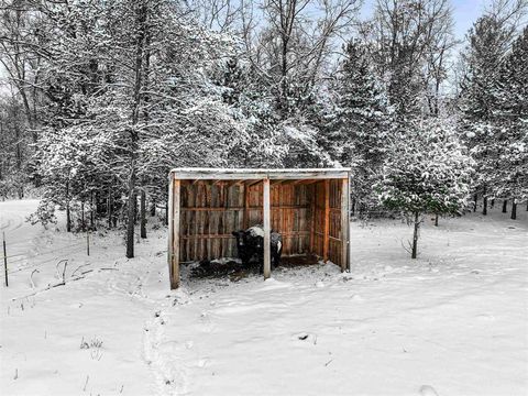 A home in Ellsworth Twp