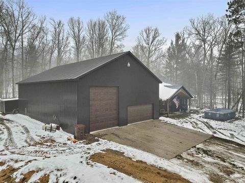 A home in Ellsworth Twp