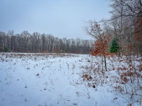 A home in South Branch Twp