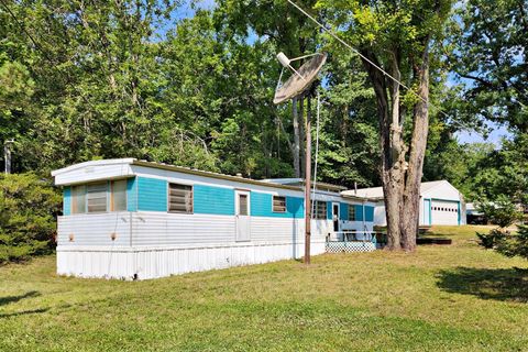 A home in Sheridan Twp - Mecosta