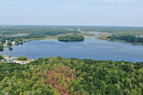 A home in Sheridan Twp - Mecosta