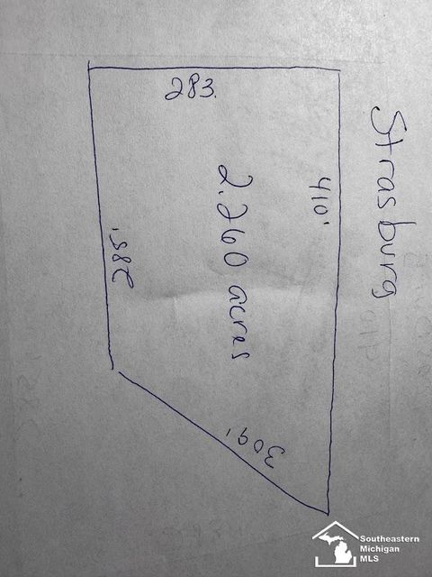 00-80 Strasburg Road Raisinville Township MI 48161