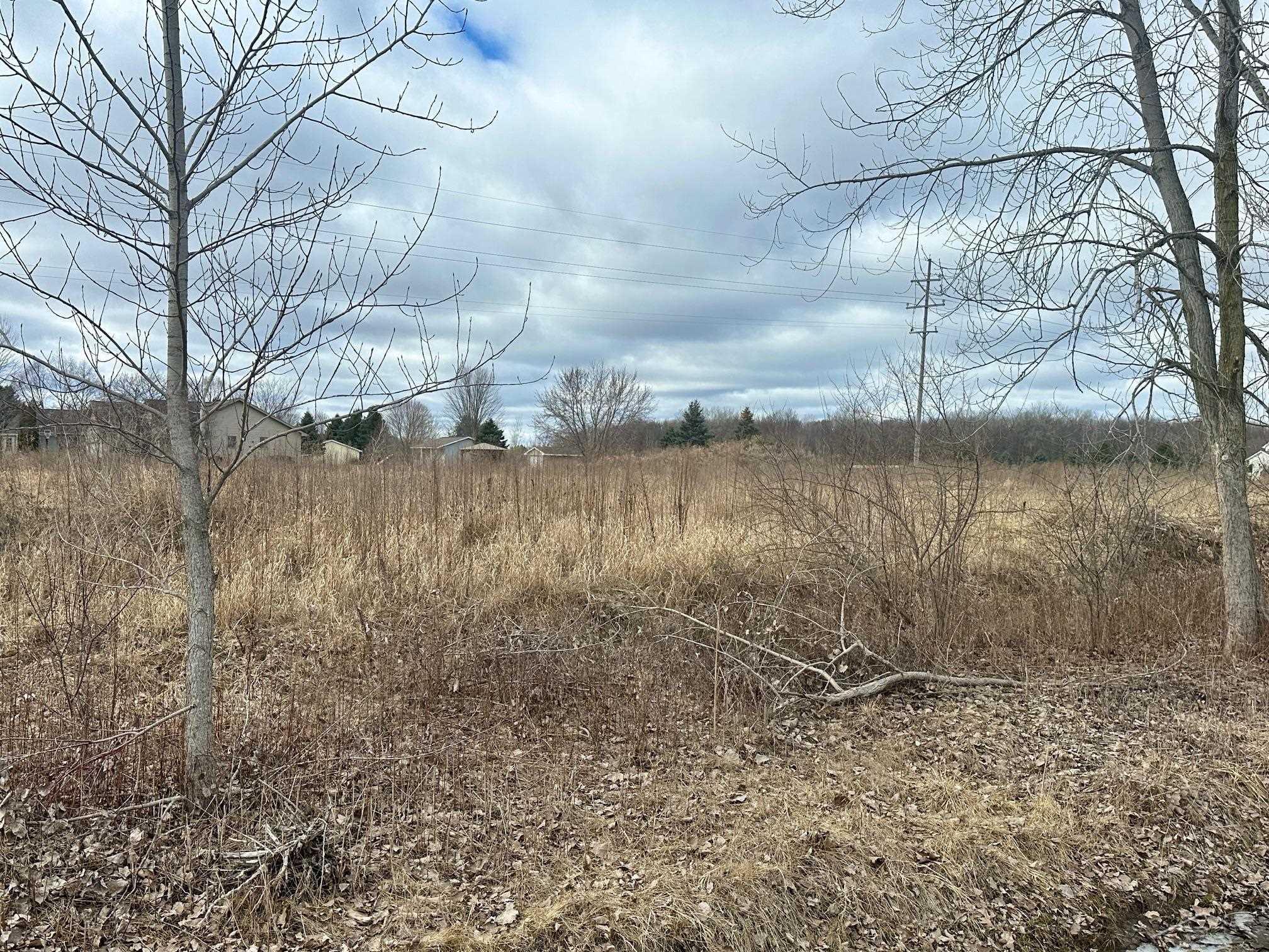 TittabawasseeTownship_Saginaw, Michigan 48623, United States, ,Land,Active,87121