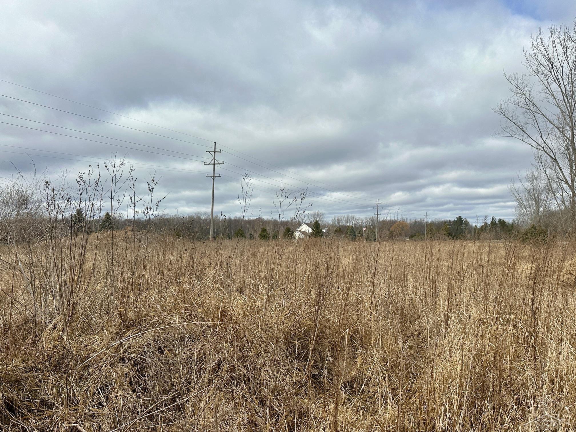 TittabawasseeTownship_Saginaw, Michigan 48623, United States, ,Land,Active,87121