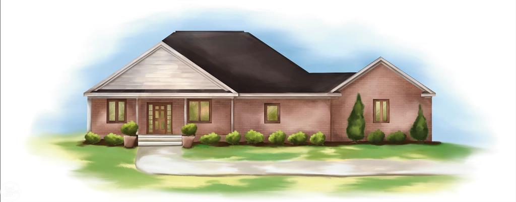 View Riley Twp, MI 48041 house