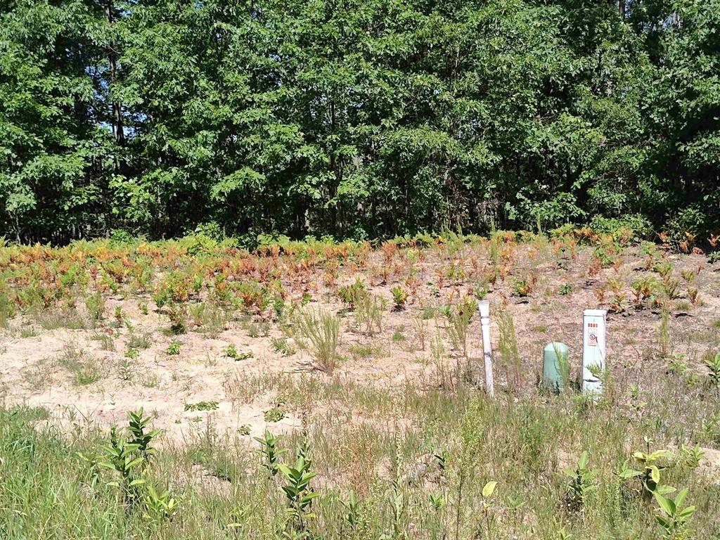 Lot 7 N Circle E