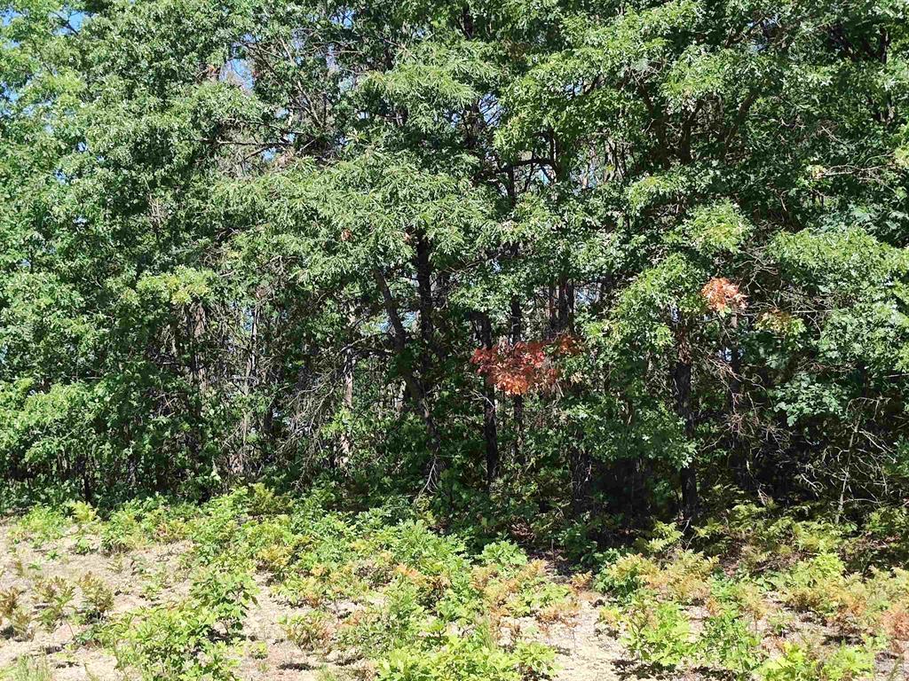 Lot 7 N Circle E