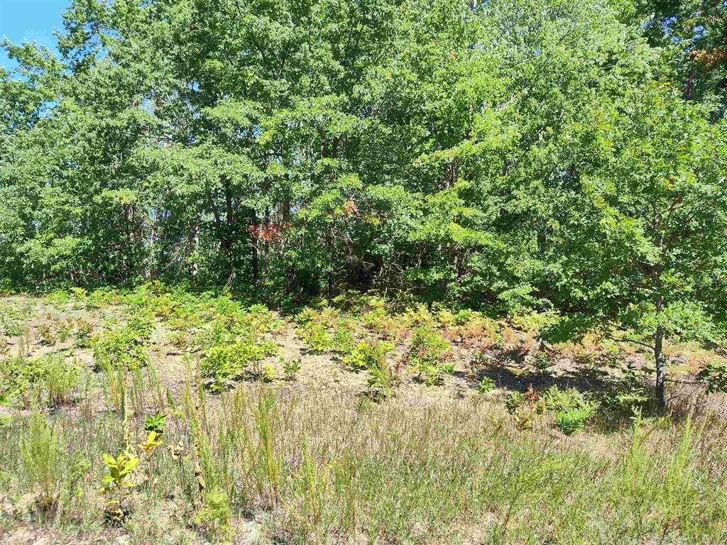 Lot 7 N Circle E