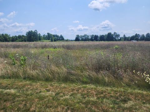3615 S State Road Orange Township MI 48846