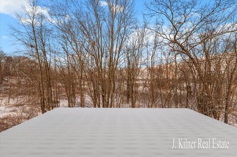 A home in Oakfield Twp