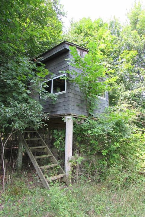 A home in Brant Twp