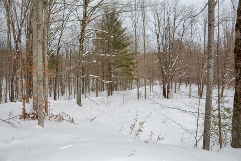 A home in Almira Twp