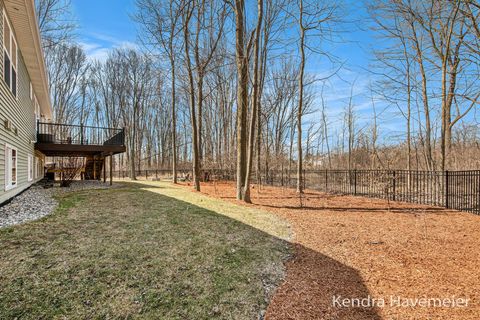 A home in BlendonTownship_Ottawa