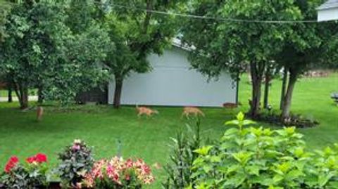 A home in Imlay City