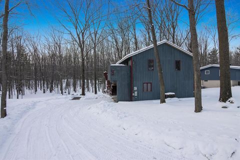 A home in Long Lake Twp